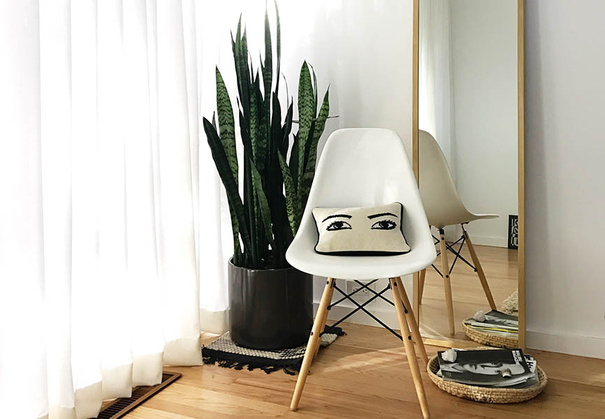 Plant beside chair with graphic throw pillow